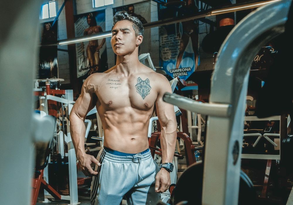 Appareils musculation : les différents types et les critères pour choisir