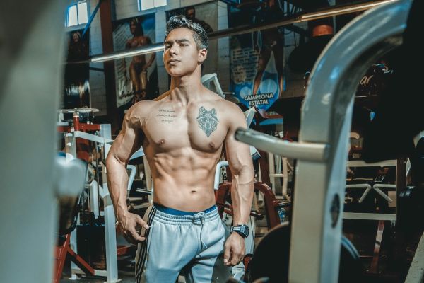 Appareils musculation : les différents types et les critères pour choisir