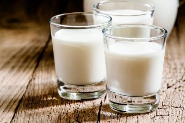 Bienfaits du lait de brebis : Un guide complet