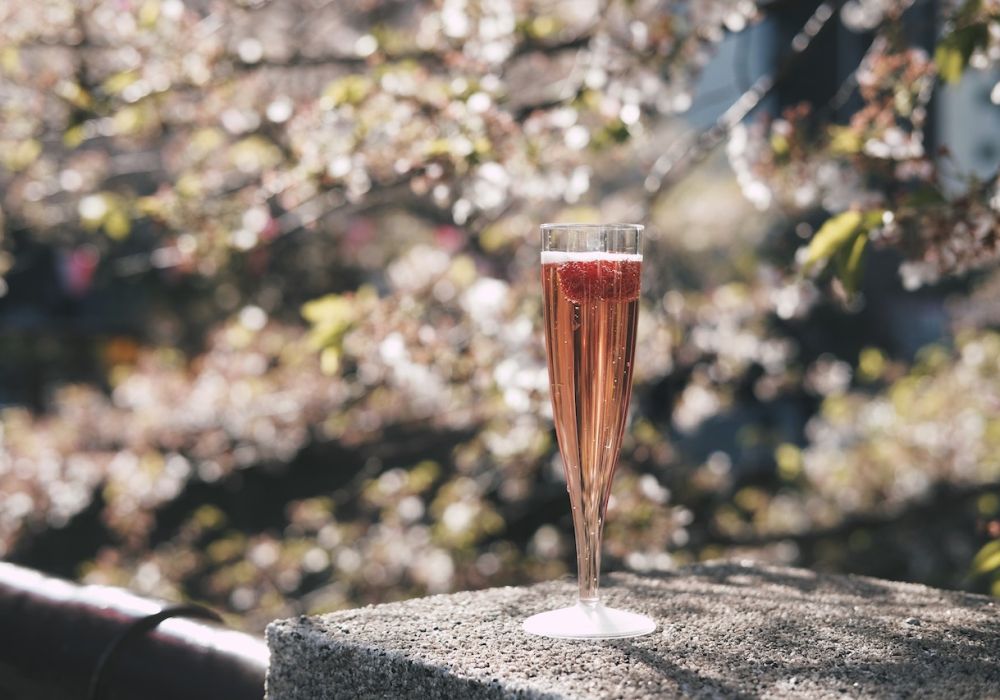 Champomy : la boisson pétillante aux fruits pour toute la famille