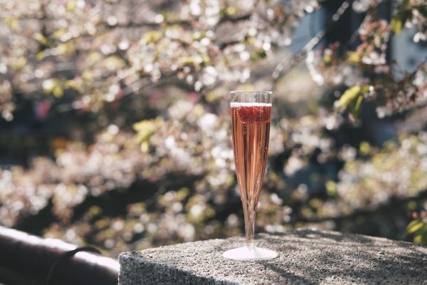 Champomy : la boisson pétillante aux fruits pour toute la famille
