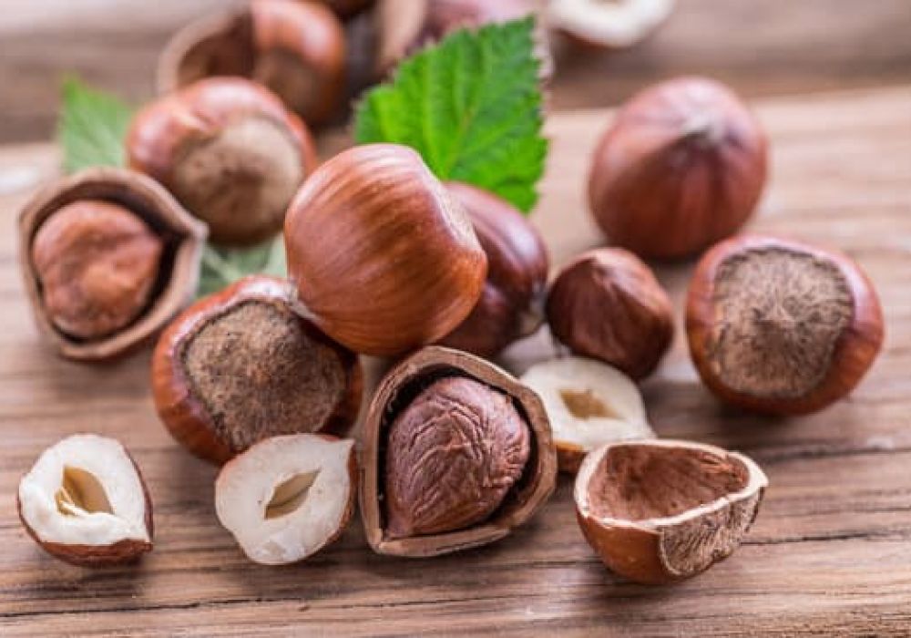 Combien de calories dans les noisettes ?