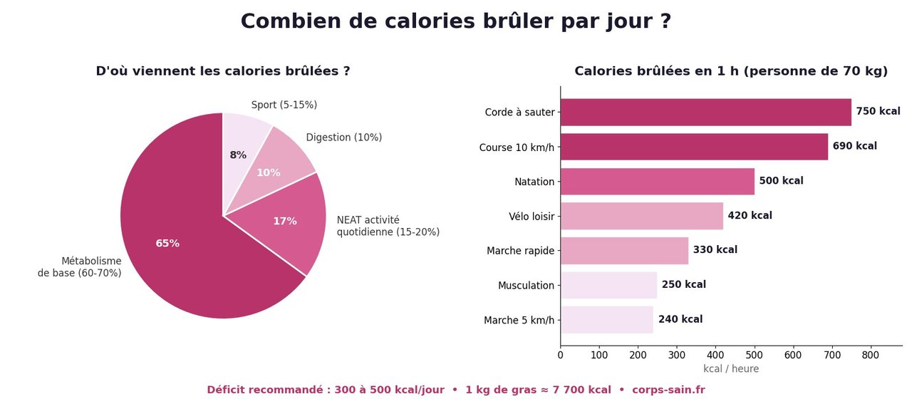 Infographie : combien de calories brûler par jour selon l'objectif