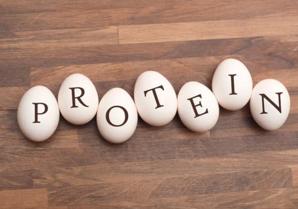 Combien de Protéine dans un Œuf ? - Guide Complet sur la Valeur Nutritionnelle des Œufs