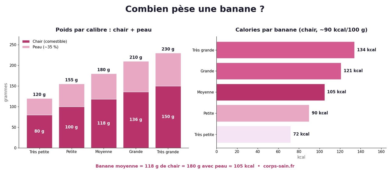 Infographie : poids d'une banane par calibre et calories correspondantes