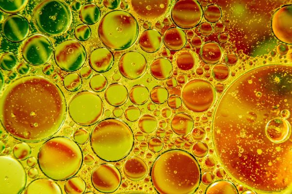 Comprendre le cholestérol : ce qu'il faut savoir pour une meilleure santé