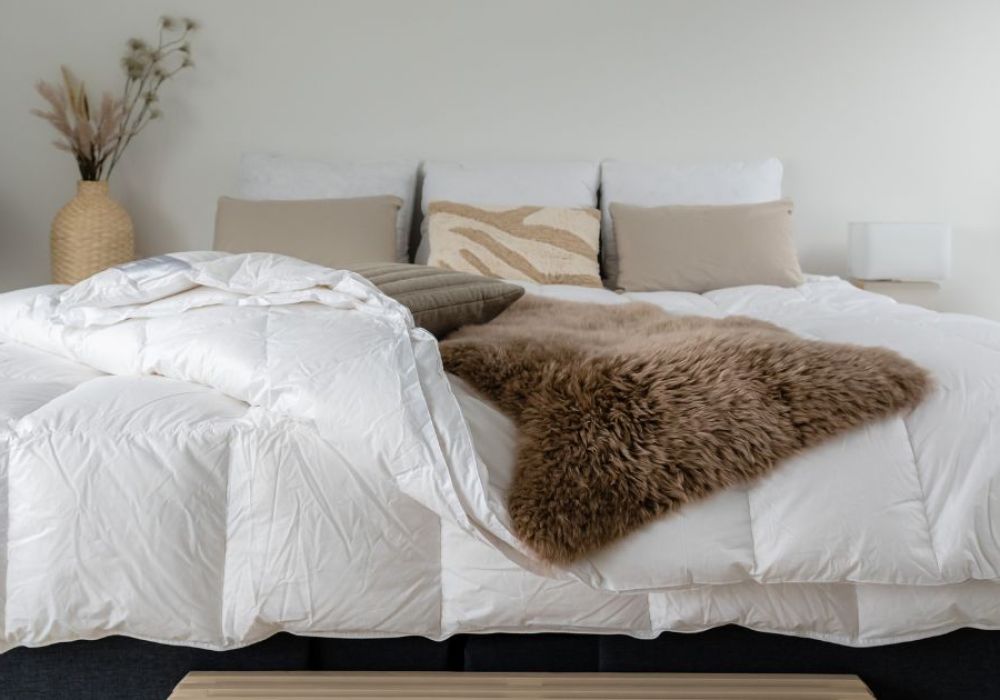 Couette naturelle ou synthétique : laquelle choisir pour vos nuits?