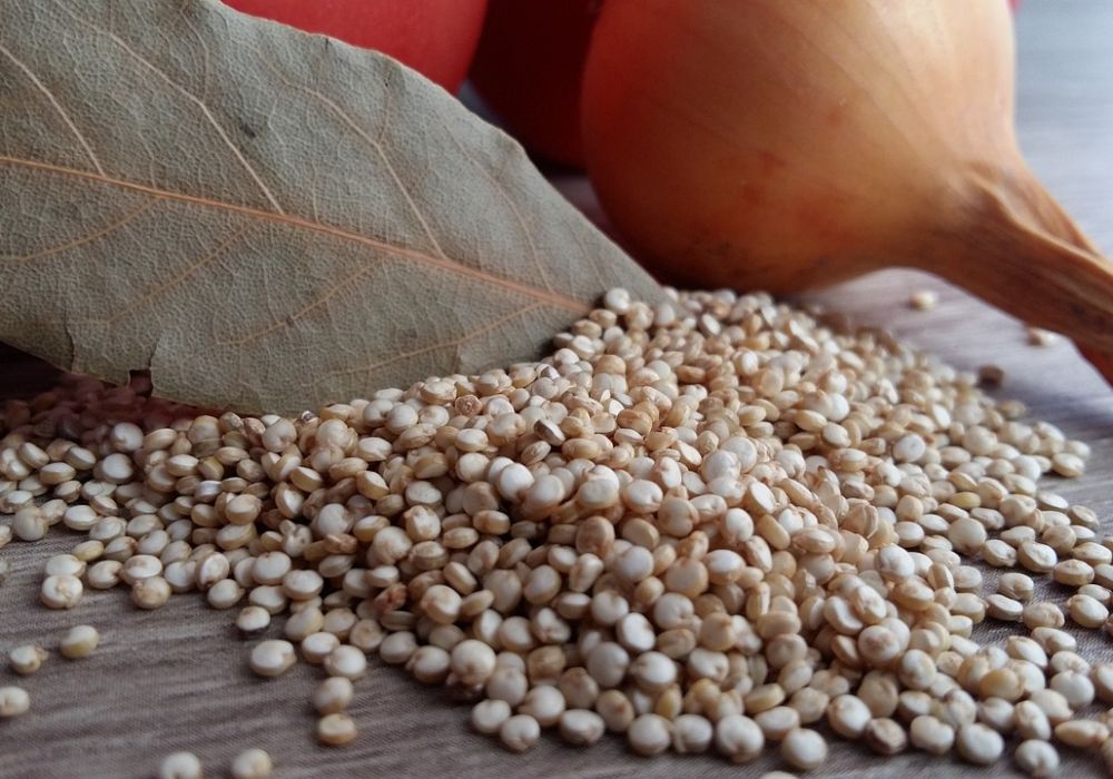Découvrez le quinoa : un superaliment aux multiples bienfaits pour votre santé