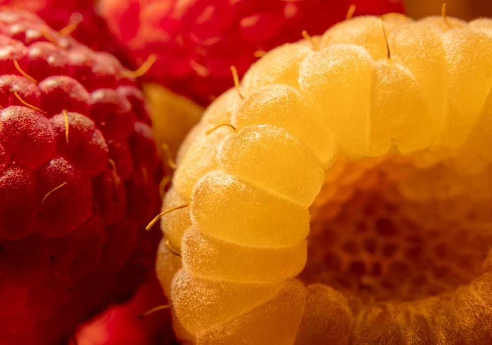 Découvrez les meilleures recettes de dessert rapide pour satisfaire vos envies sucrées