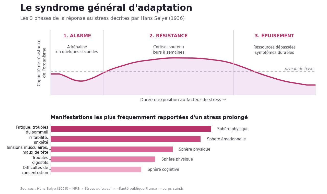 Infographie des trois phases du syndrome général d'adaptation : alarme, résistance, épuisement