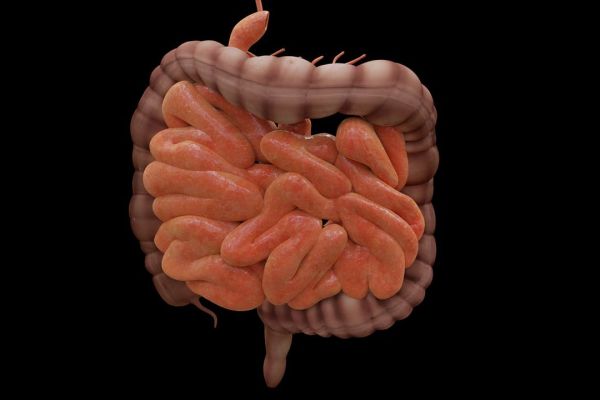 La coloscopie : un examen médical essentiel pour la santé du côlon