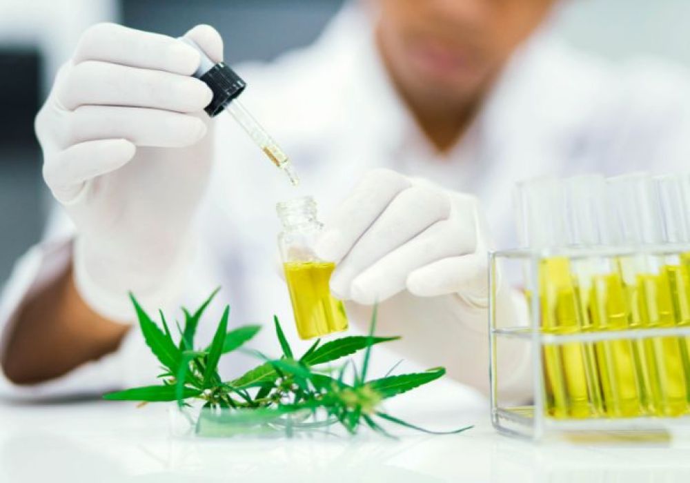 Le CBD et les pharmacies : une alliance prometteuse pour l'avenir