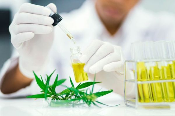 Le CBD et les pharmacies : une alliance prometteuse pour l'avenir