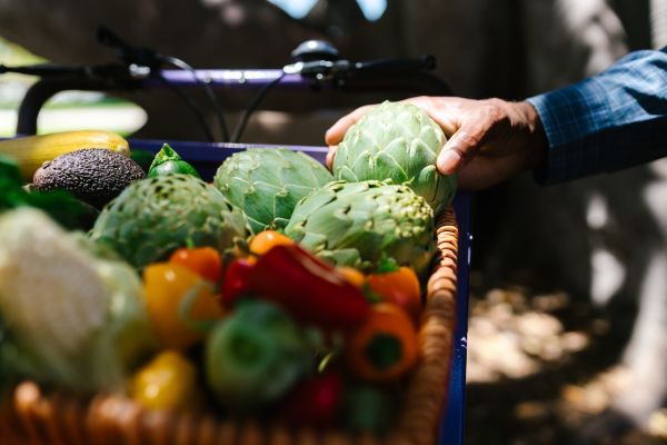 Le mystère de l'artichaut : un légume aux multiples facettes