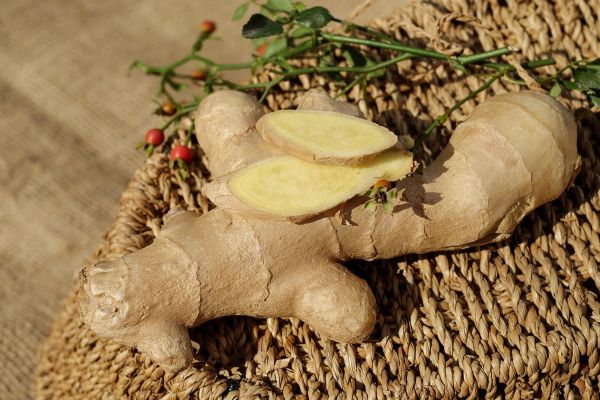 Les bienfaits surprenants du gingembre : un allié santé incontournable
