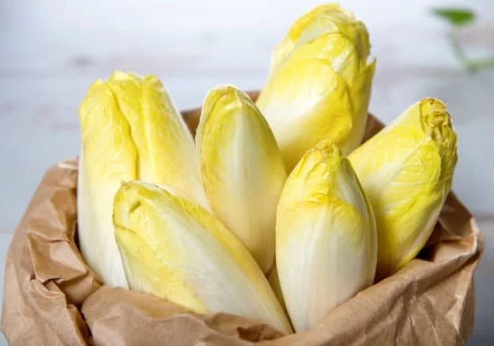 Les endives pour maigrir : le secret minceur à adopter sans plus attendre