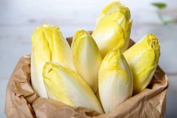Les endives pour maigrir : le secret minceur à adopter sans plus attendre