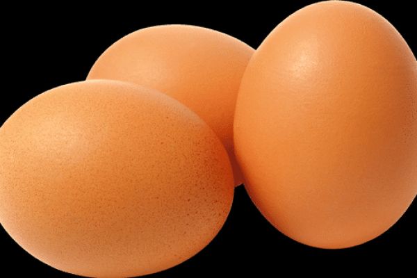 Les oeufs font ils grossir ?
