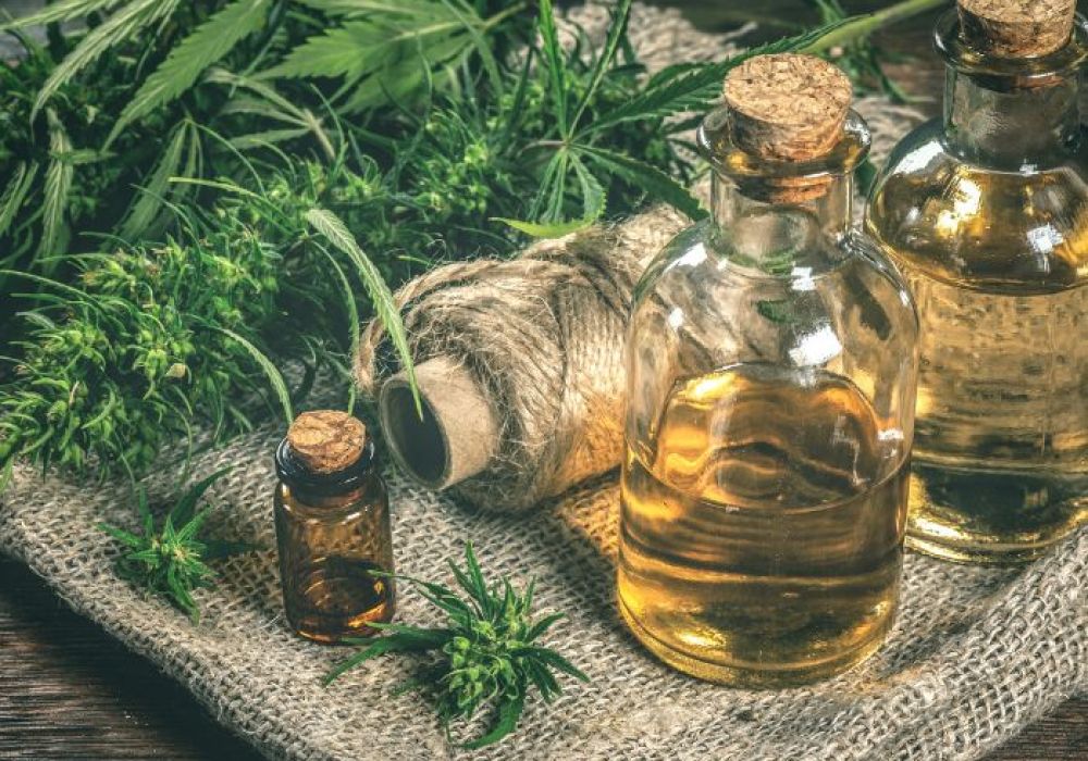 Les ventes de CBD en 2023 : une industrie en plein essor malgré les incertitudes