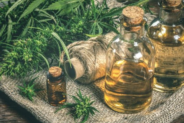Les ventes de CBD en 2023 : une industrie en plein essor malgré les incertitudes