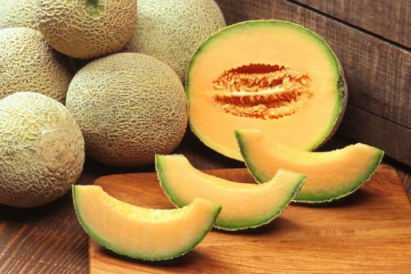 Calories du melon charentais (1/2 melon, 100 g) : guide 2026