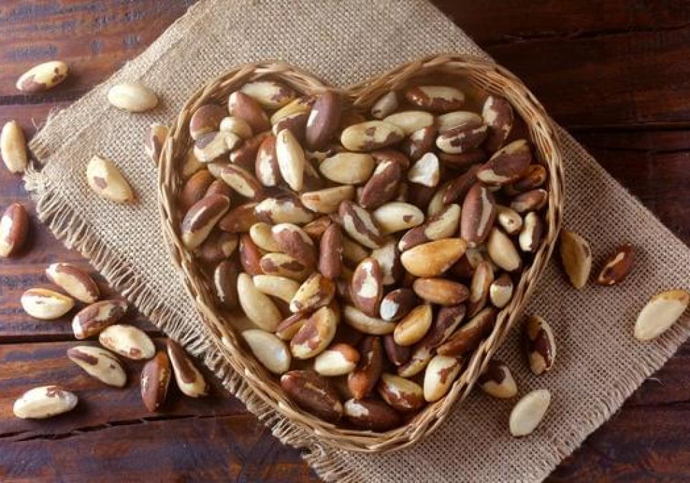 Nutrition et bienfaits des noix du Brésil