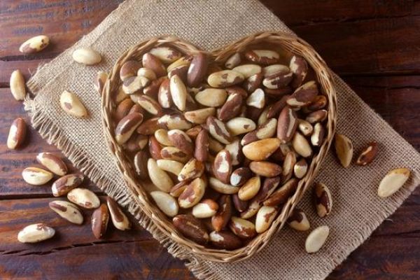 Nutrition et bienfaits des noix du Brésil