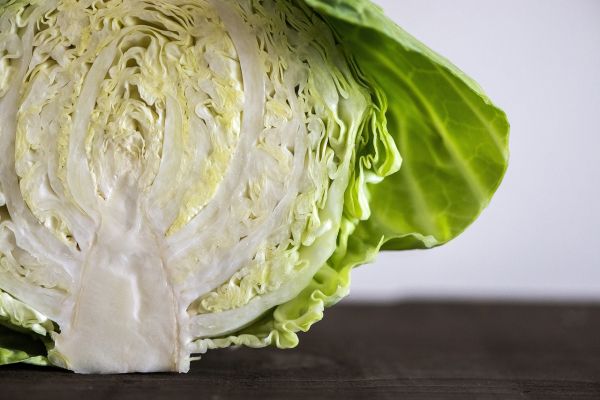 Poids moyen du chou blanc : Guide complet des variations et astuces de choix