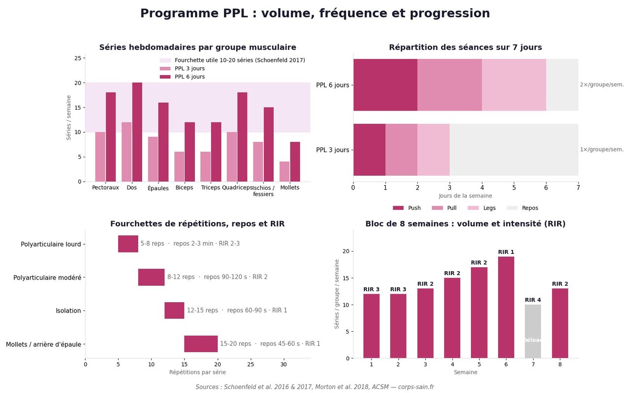 Infographie du volume hebdomadaire en séries par groupe musculaire dans un programme PPL 3 jours et 6 jours