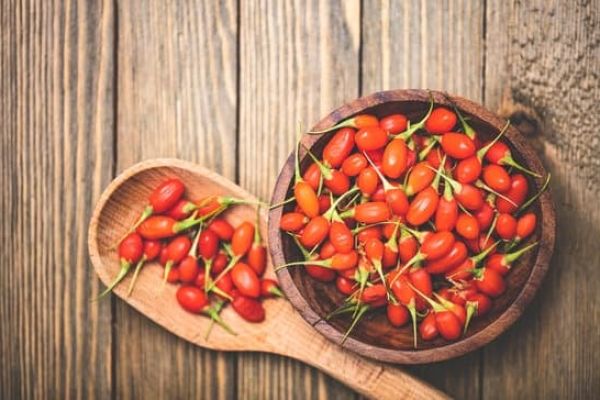 Qu'est-ce que la baie de goji et à quoi sert-elle ?