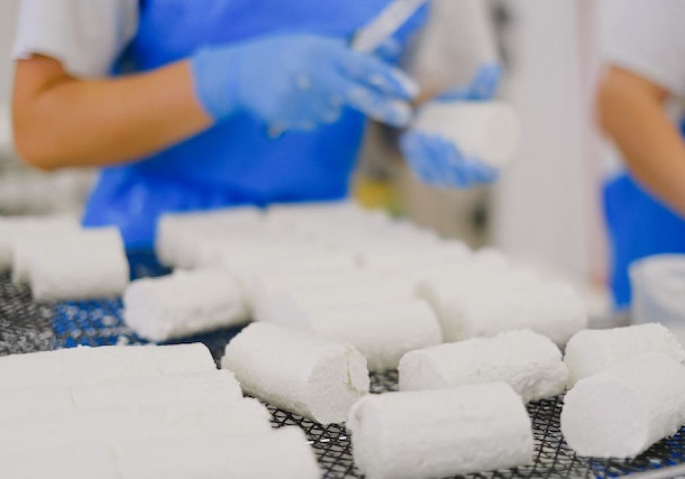 Tout savoir sur le fromage blanc : un incontournable de notre gastronomie