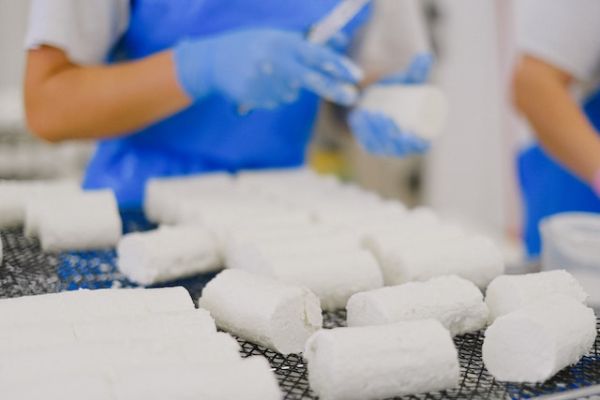 Tout savoir sur le fromage blanc : un incontournable de notre gastronomie