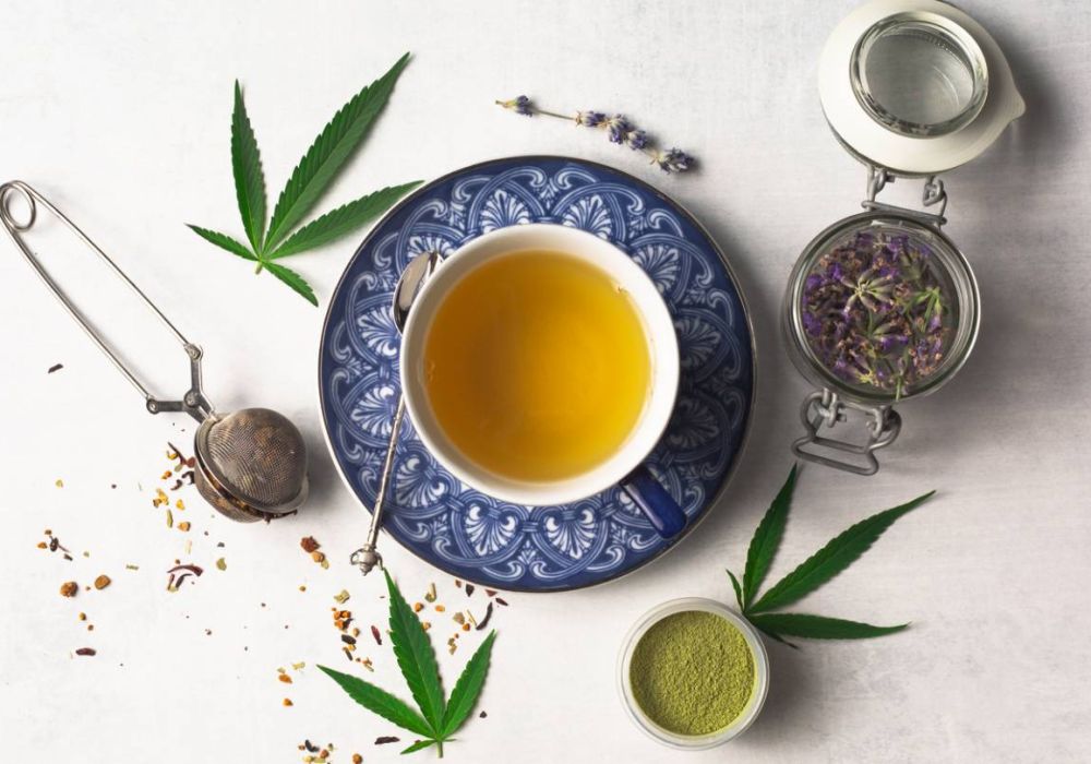 Tout savoir sur les infusions au CBD