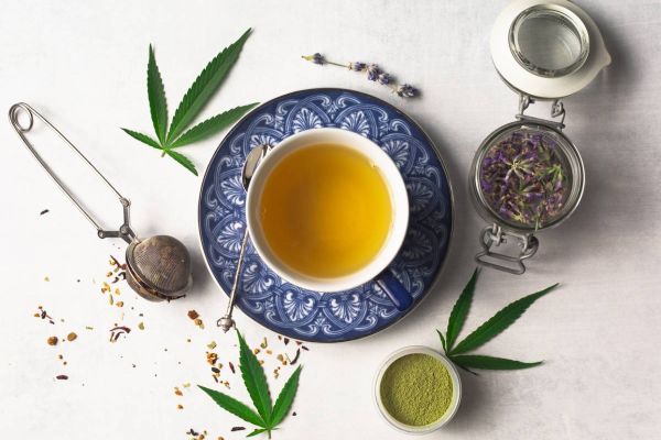 Tout savoir sur les infusions au CBD
