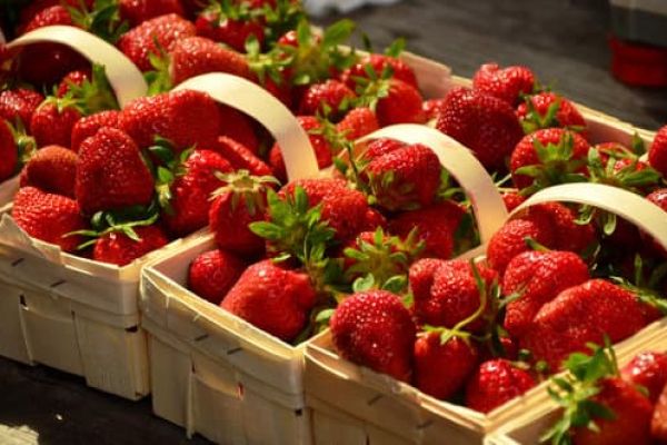 Calories des fraises (500 g, 100 g) : valeurs nutritionnelles 2026