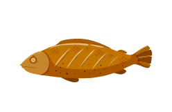 poissons cuits