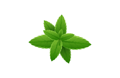 herbes