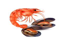 mollusques et crustacés cuits